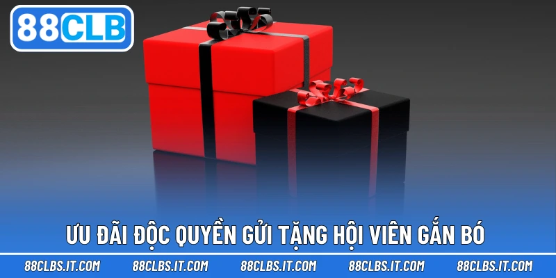 Ưu đãi độc quyền gửi tặng hội viên gắn bó